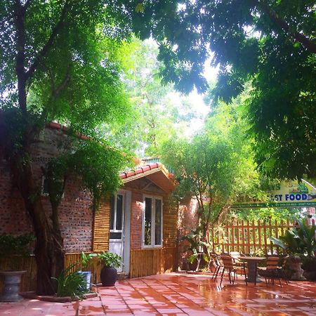 Tam Coc Green Fields Homestay Ninh Binh Bagian luar foto