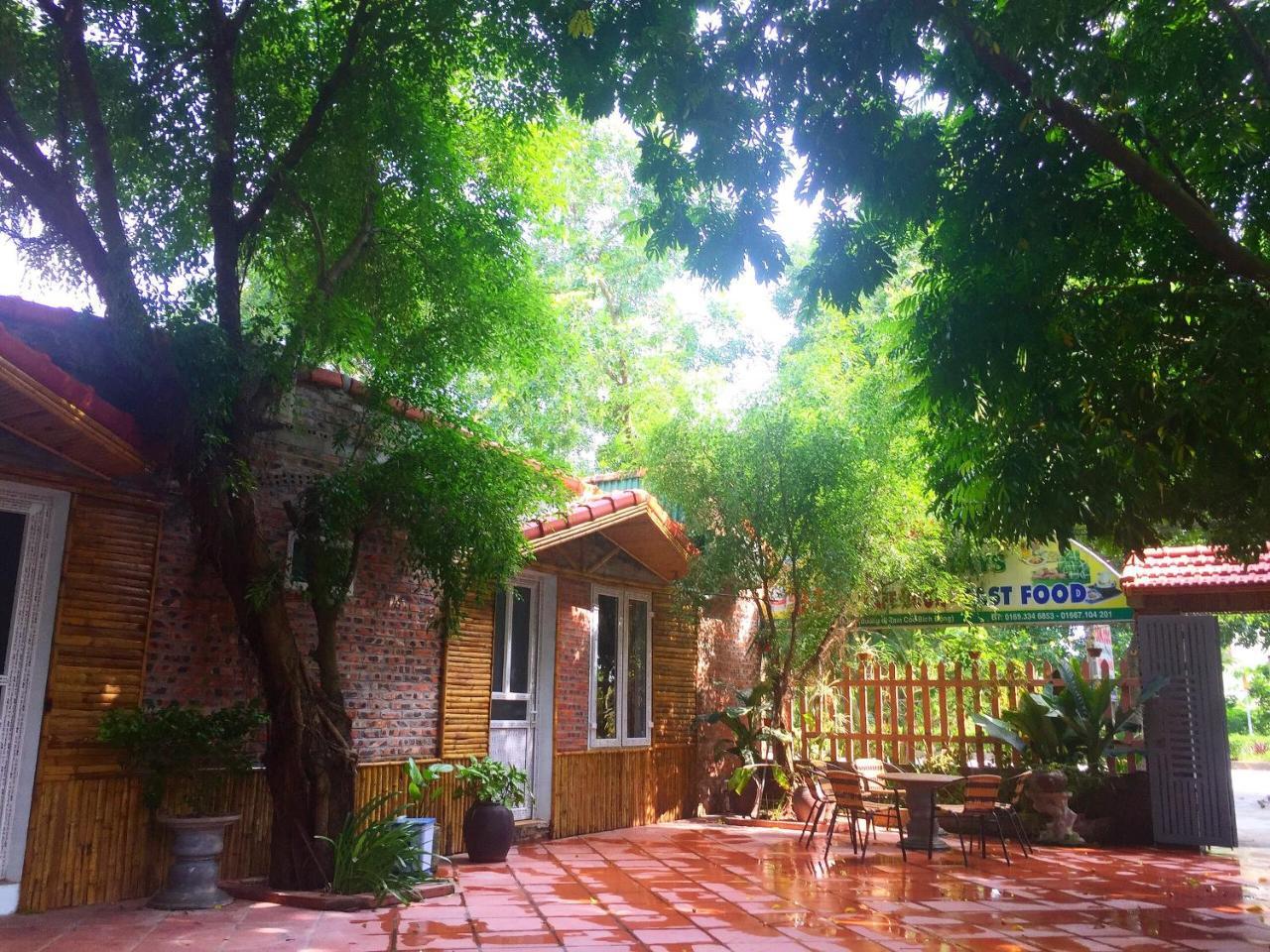 Tam Coc Green Fields Homestay Ninh Binh Bagian luar foto